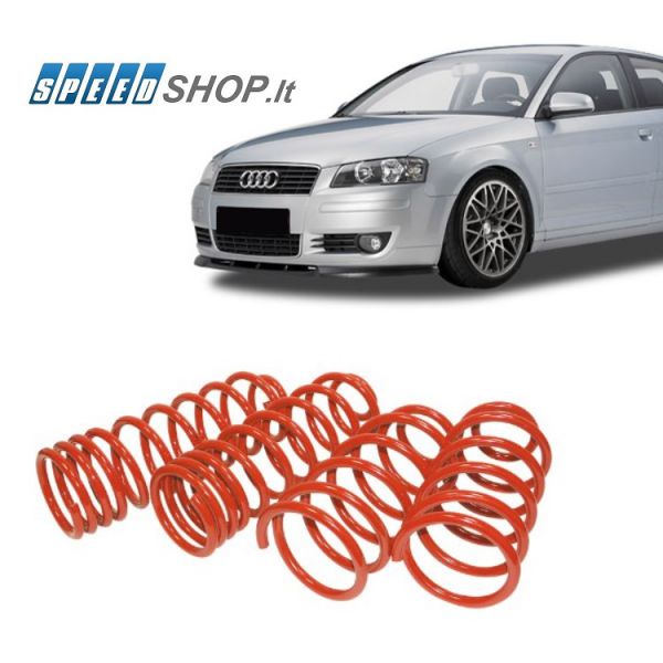 AUDI A3 8P žeminančios spyruoklės.